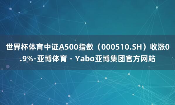 世界杯体育中证A500指数(000510.SH)收涨0.9%-亚博体育 - Yabo亚博集团官方网站