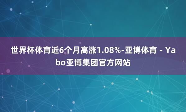世界杯体育近6个月高涨1.08%-亚博体育 - Yabo亚博集团官方网站
