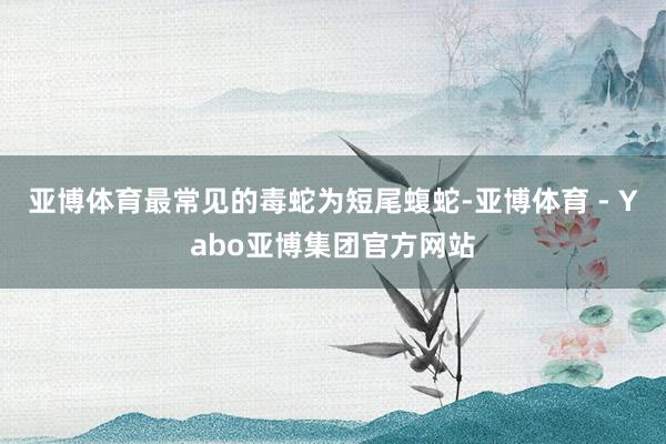 亚博体育最常见的毒蛇为短尾蝮蛇-亚博体育 - Yabo亚博集团官方网站